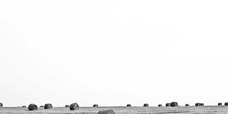 移动应用开发新前沿：集成区块链技术打造数字钱包与智能合约的软件解决方案