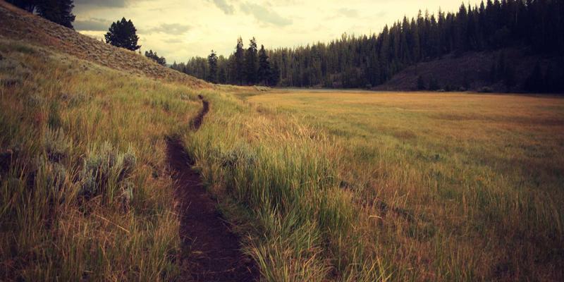 移动应用开发：构建现代软件解决方案与Web应用的关键策略