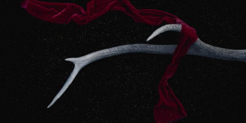 移动应用开发进阶技巧：融合Circular Motion设计、软件解决方案与iOS应用优化