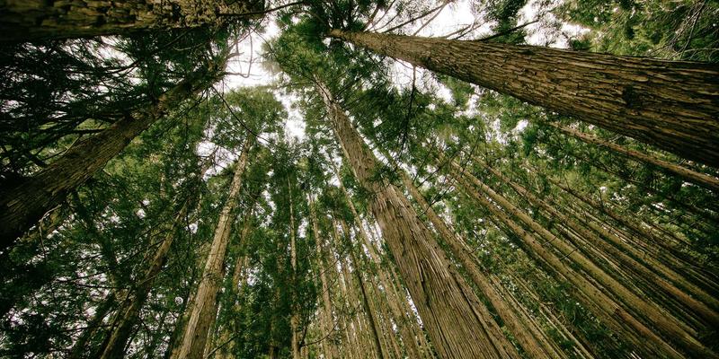 移动应用用户体验（UX）设计核心原则：从用户旅程地图到Android应用交互细节