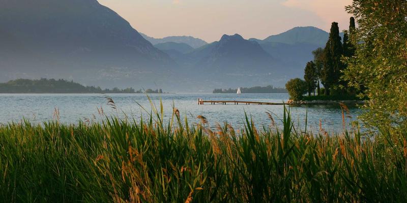 超越基础：打造卓越无障碍体验的Android应用与定制软件解决方案深度实践